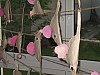 cerven 2010 043.jpg